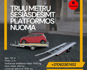 Platformos,traliuku ir priekabu nuoma Alytus ! / Platformu, traliuku ir priekabu nuoma / Darbų pavyzdys ID 3763053