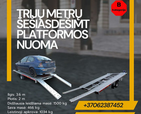 Platformos,traliuku ir priekabu nuoma Alytus ! / Platformu, traliuku ir priekabu nuoma / Darbų pavyzdys ID 3763055