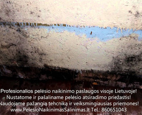 Profesionalios pelesio naikinimo šalinimo paslaugos Kaune. Darbus atliekame visoje Lietuvoje! Tel.: +37060651043 