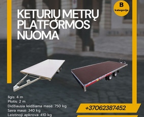 Platformos,traliuku ir priekabu nuoma Alytus ! / Platformu, traliuku ir priekabu nuoma / Darbų pavyzdys ID 3763119
