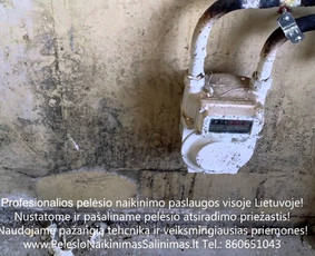 Profesionalios pelesio naikinimo šalinimo paslaugos Kaune. Darbus atliekame visoje Lietuvoje! Tel.: +37060651043 