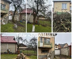 Medžių genėjimas*gyvatvorių karpymas*aplinkos tvarkymas / Zigmas / Darbų pavyzdys ID 3763261