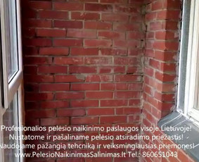 Pelėsio naikinimas- šalinimas iš balkonų. Darbus atliekame visoje Lietuvoje! Tel.: +37060651043 