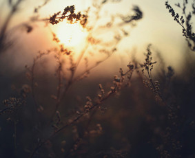 Sveikata, gydymas - Psichoterapijos konsultacijos Lt/en/ru (Vilniuje ir online) - 4