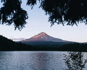 Sveikata, gydymas - Psichoterapijos konsultacijos Lt/en/ru (Vilniuje ir online) - 1