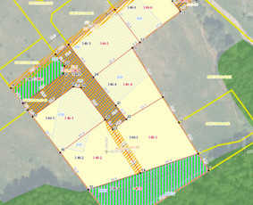 Geodezija-topografija, Projektavimas, Nužymėjimas - Konsultacijos NT įteisinimo klausimais - 4 Konsultacijos NT įteisinimo klausimais - Geodezija-topografija, Projektavimas, Nužymėjimas - 4