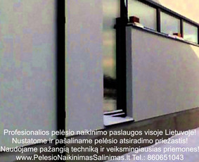 Pelėsio naikinimo šalinimo paslaugos iš privačių namų Vilniuje.Darbus atliekame visoje Lietuvoje! Tel.: +37060651043 