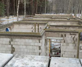 Pamatų, perdangų, sienų betonavimas, mūro darbai, trinkelės / Sigitas / Darbų pavyzdys ID 3764213