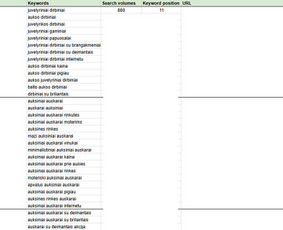 Raktinių žodžių analizė ir parinkimas - Seo paslaugos - 3