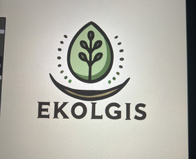 Logotipu kūrimas - Grafikos dizaineriai - 3 Grafikos dizaineriai - Logotipu kūrimas - 3