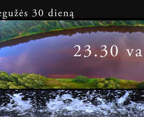 Šventės, koncertai ir renginiai nuo A iki Z / MB MENUPĖ / Darbų pavyzdys ID 3766849