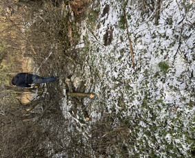 Statybos, apdaila - Kelių įrengimas - 4