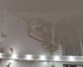 Įtempiamos lubos Panevėžio apskrityje / Mantas Šinkevičius / Darbų pavyzdys ID 3767077