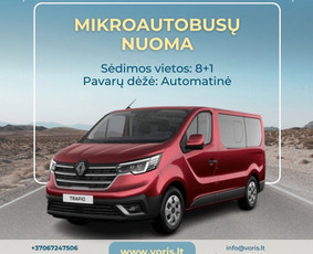 Keleivinis / Krovininis Mikroautobusiukas - Nuoma / Mikroautobusų nuoma / Darbų pavyzdys ID 3767763
