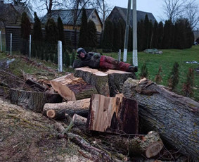 06 55 55 800 Medžių Pjovimas Ir Genėjimas Visoje Lietuvoje / MEDŽIŲ PJOVIMAS / Darbų pavyzdys ID 3767947
