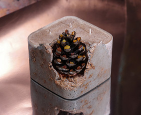 PARDUOTA!
Betone lieta palmių vaško žvakė dekoruota kankorėžiu su baltijos gintarais. 
Vaško kiekis: 500 ml
Išmatavimai: 12x12 cm
Degimo laikas: ± 100 val
