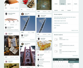 React, Flutter, Next.js, Django, Fastapi, Nestjs, Laravel / Boris / Darbų pavyzdys ID 3773179