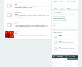 React, Flutter, Next.js, Django, Fastapi, Nestjs, Laravel / Boris / Darbų pavyzdys ID 3773191