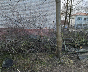 Bokštelio nuoma su operatoriumi / Mindaugas / Darbų pavyzdys ID 3773465