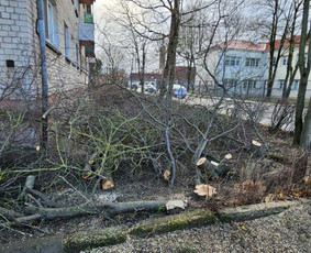 Bokštelio nuoma su operatoriumi / Mindaugas / Darbų pavyzdys ID 3773467