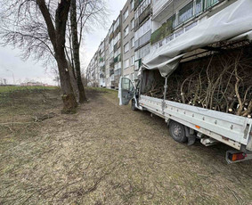 Bokštelio nuoma su operatoriumi / Mindaugas / Darbų pavyzdys ID 3773485