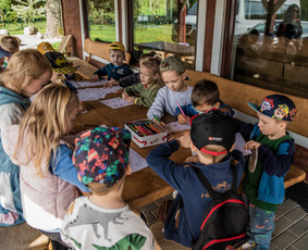Sodybos nuoma Kauno r. (be nakvynės) / Neriuko Sapnas / Darbų pavyzdys ID 3774039
