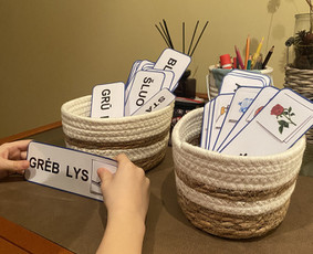 Pradinio ir priešmokyklinio ugdymo pedagogė - Pradinių klasių mokytoja - 3 Pradinių klasių mokytoja - Pradinio ir priešmokyklinio ugdymo pedagogė - 3