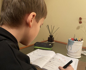 Pradinio ir priešmokyklinio ugdymo pedagogė / Loreta Ponelienė / Darbų pavyzdys ID 3775051