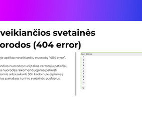 Internetas, IT - Seo paslaugos - 3