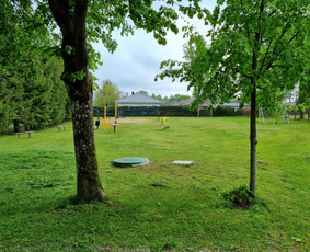 Žolės pjovimas / Pievų mulčiavimas / Frezavimas - Žolės pjovimas - 4 Žolės pjovimas - Žolės pjovimas / Pievų mulčiavimas / Frezavimas - 4