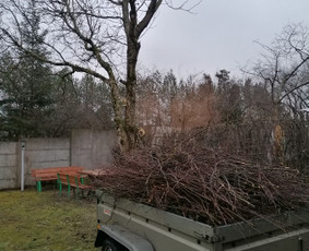 Pjaunu medžius, gyvatvores, tujas ir kitą augmeniją - Apleistų sklypų tvarkymas - 2 Apleistų sklypų tvarkymas - Pjaunu medžius, gyvatvores, tujas ir kitą augmeniją - 2