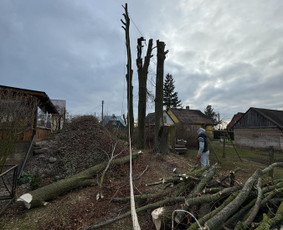 Avarinių medžių pjovimo paslaugos. / Rimas. M.- (Aboristas) / Darbų pavyzdys ID 3780483
