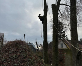 Avarinių medžių pjovimo paslaugos. / Rimas. M.- (Aboristas) / Darbų pavyzdys ID 3780485