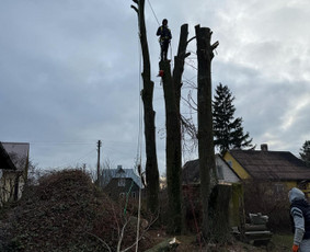 Avarinių medžių pjovimo paslaugos. / Rimas. M.- (Aboristas) / Darbų pavyzdys ID 3780489