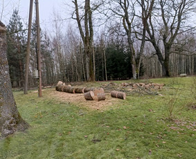 Avarinių medžių pjovimo paslaugos. / Rimas. M.- (Aboristas) / Darbų pavyzdys ID 3780491