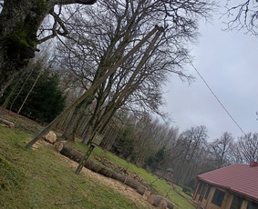 Avarinių medžių pjovimo paslaugos. / Rimas. M.- (Aboristas) / Darbų pavyzdys ID 3780495