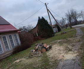 Avarinių medžių pjovimo paslaugos. / Rimas. M.- (Aboristas) / Darbų pavyzdys ID 3780503