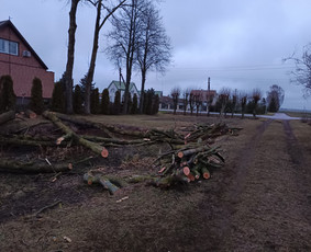 Avarinių medžių pjovimo paslaugos. / Rimas. M.- (Aboristas) / Darbų pavyzdys ID 3780509