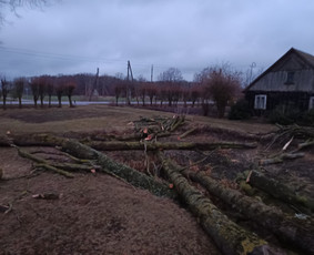 Avarinių medžių pjovimo paslaugos. / Rimas. M.- (Aboristas) / Darbų pavyzdys ID 3780519