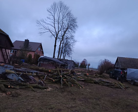Avarinių medžių pjovimo paslaugos. / Rimas. M.- (Aboristas) / Darbų pavyzdys ID 3780525