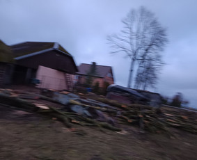 Avarinių medžių pjovimo paslaugos. / Rimas. M.- (Aboristas) / Darbų pavyzdys ID 3780527