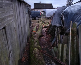 Avarinių medžių pjovimo paslaugos. / Rimas. M.- (Aboristas) / Darbų pavyzdys ID 3780529