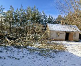 Avarinių medžių pjovimo paslaugos. / Rimas. M.- (Aboristas) / Darbų pavyzdys ID 3780549