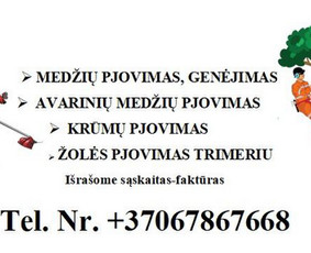 Arboristo paslaugos: medžių pjovimas/genėjimas / Tomas Damulis / Darbų pavyzdys ID 3780573