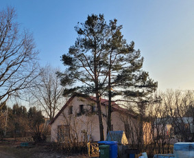 Vejos įrengimas,gėlynų projektavimas, įrengimas / Arturas M. / Darbų pavyzdys ID 3780589
