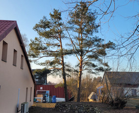 Vejos įrengimas,gėlynų projektavimas, įrengimas / Arturas M. / Darbų pavyzdys ID 3780607