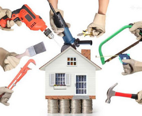 Meistrai į namus - Meistras į namus - 1