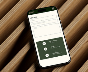 Svetainių dizainas (web design) - Grafikos dizainerė - 1