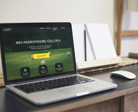 Svetainių dizainas (web design) - Grafikos dizainerė - 3