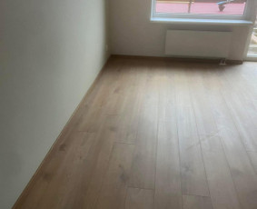 Griovimo/demontavimo Darbai - Šiukšlių Išvežimas / Griovimai 24/7 / Darbų pavyzdys ID 3782527